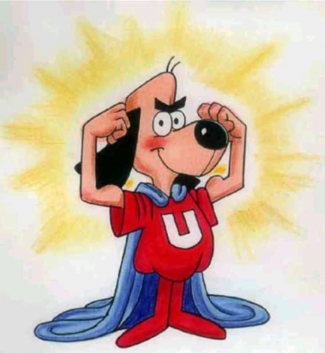 dog