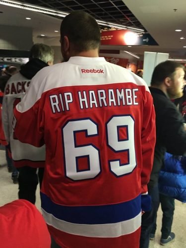 harambe-jersey