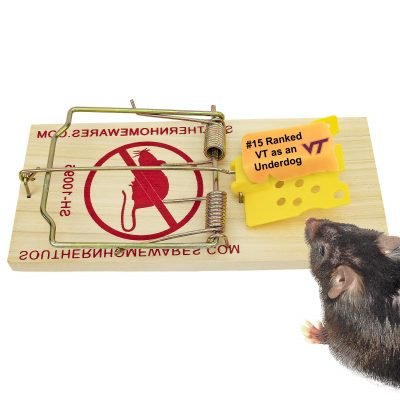 rat