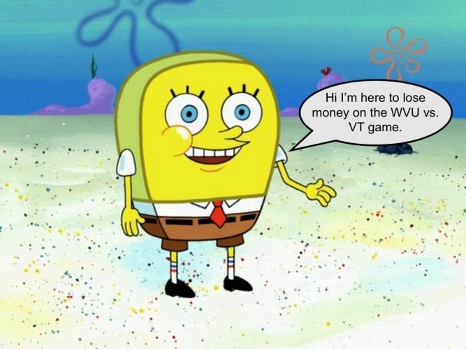 sponge