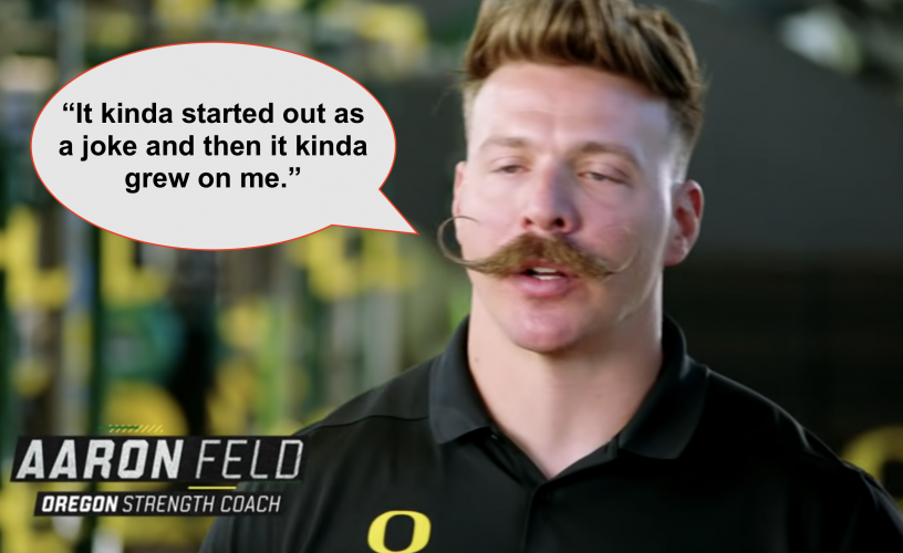 stache stache